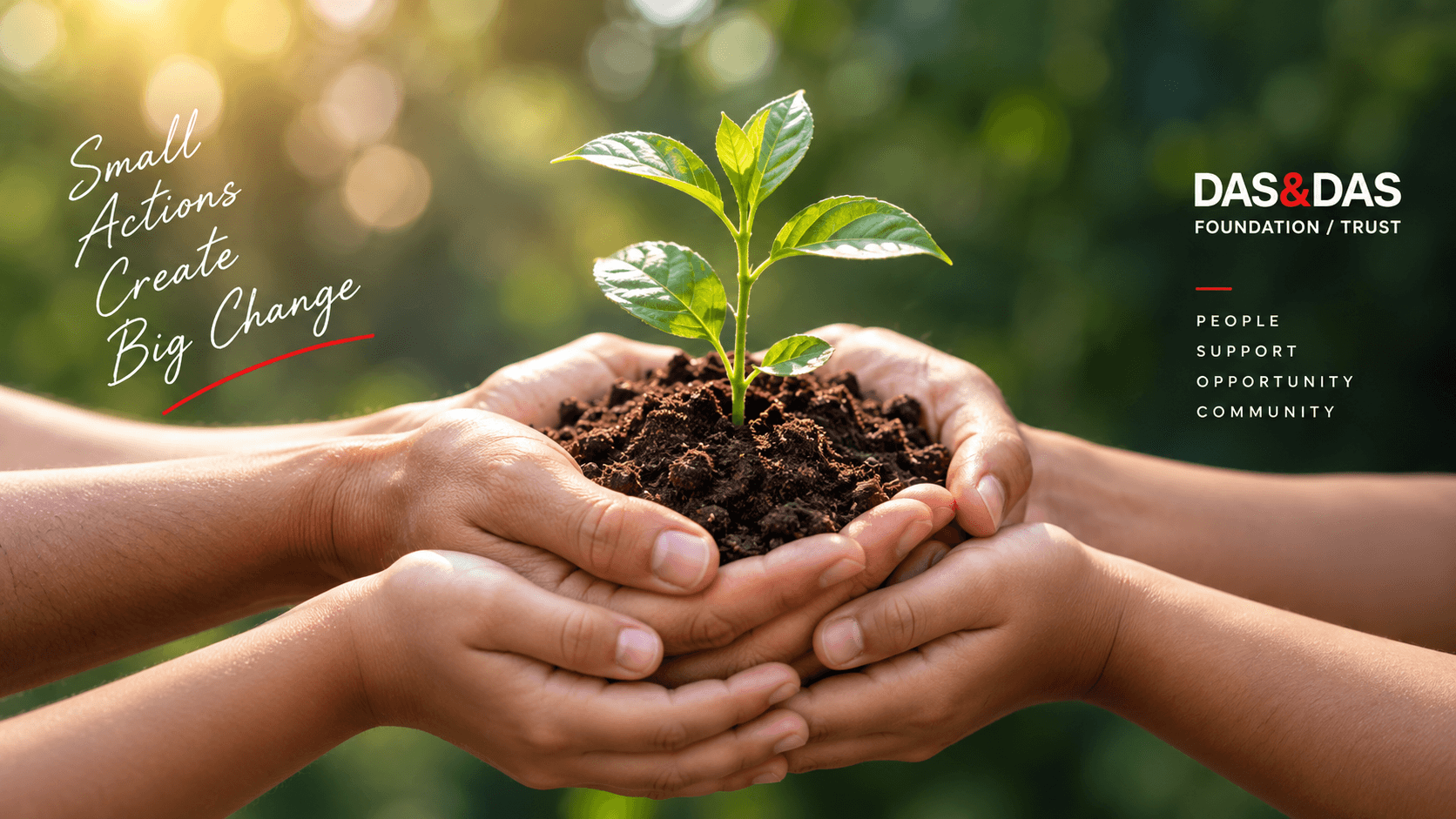 Hands nurturing a young plant, representing growth and community support